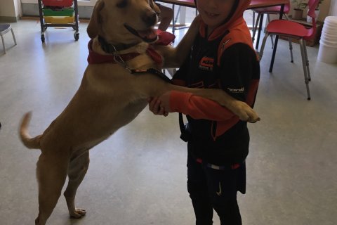 Myndir af gæludýradeginum